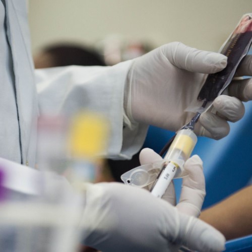 Hemonúcleo de Barra Mansa convoca doadores para reverter queda no estoque de sangue